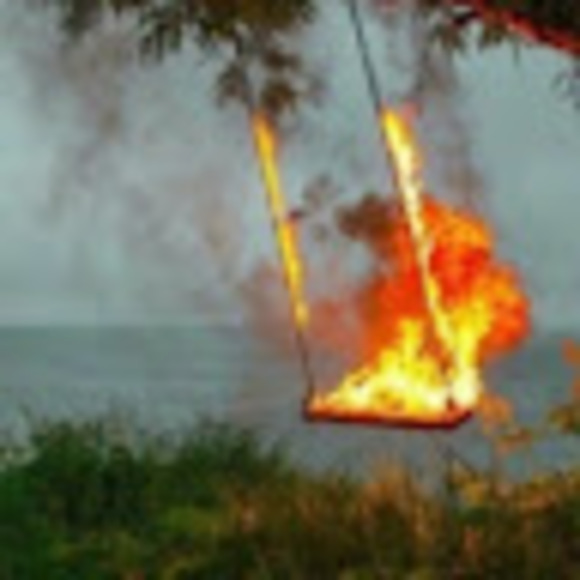 Meet your Posher, Tyler - Picture 1 of 1